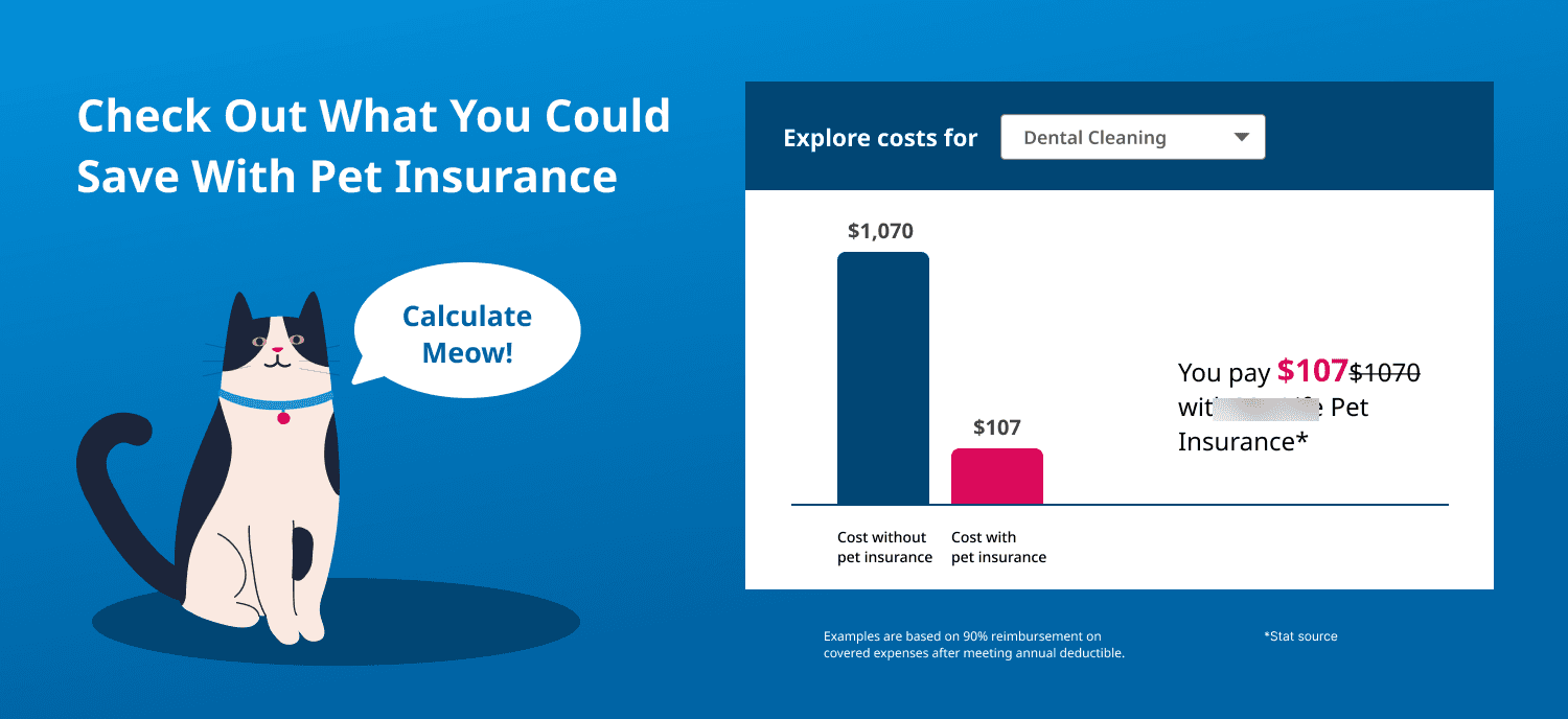 Version A prototype: a single dental-cleaning cost comparison with a dropdown to explore other conditions