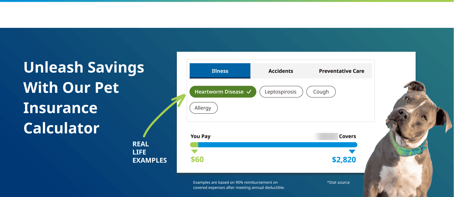 Version B prototype: illness, accident, and preventive-care categories with tabs and pill filters